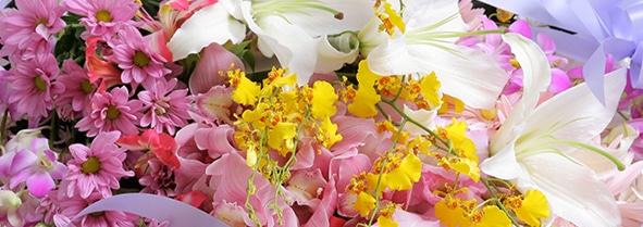 お問い合わせ/企業情報