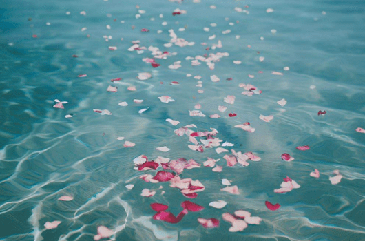 専門的な粉骨業務